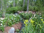Aldridge Garden photo