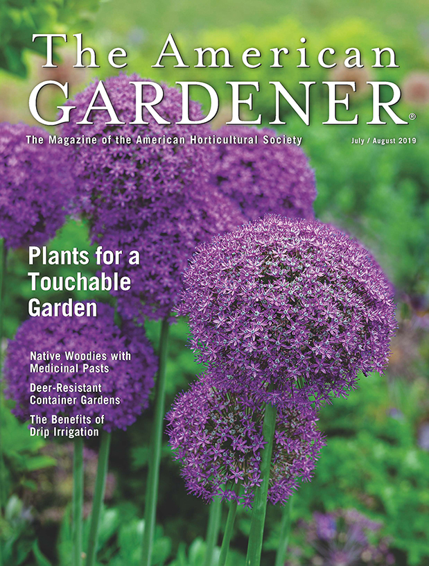 The America Gardener Jul/Aug issue cover