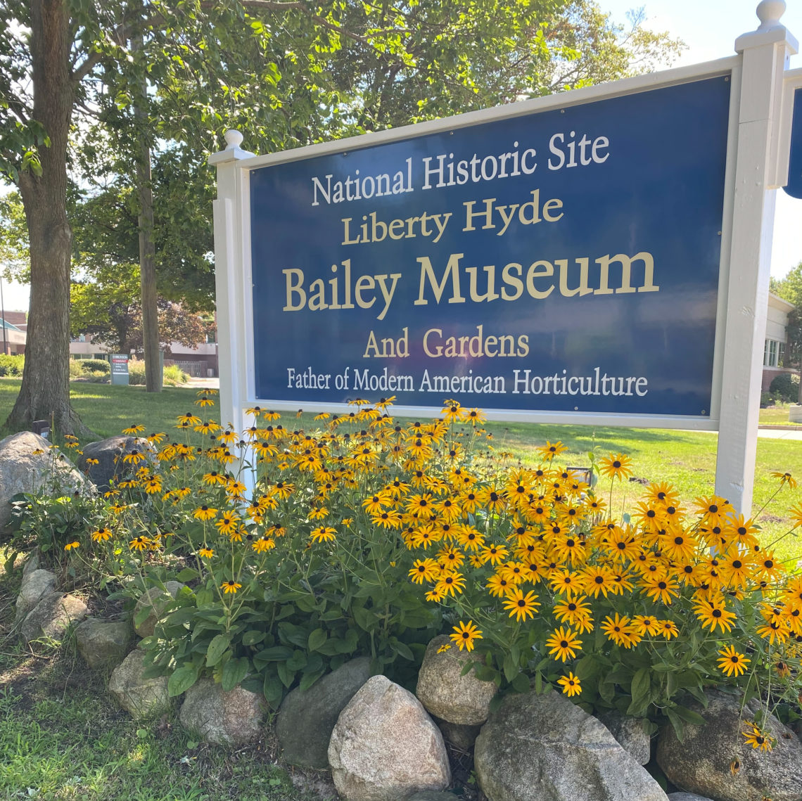 Bailey Museum