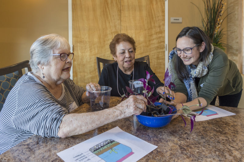 Catharine McCord explores plant growth with seniors