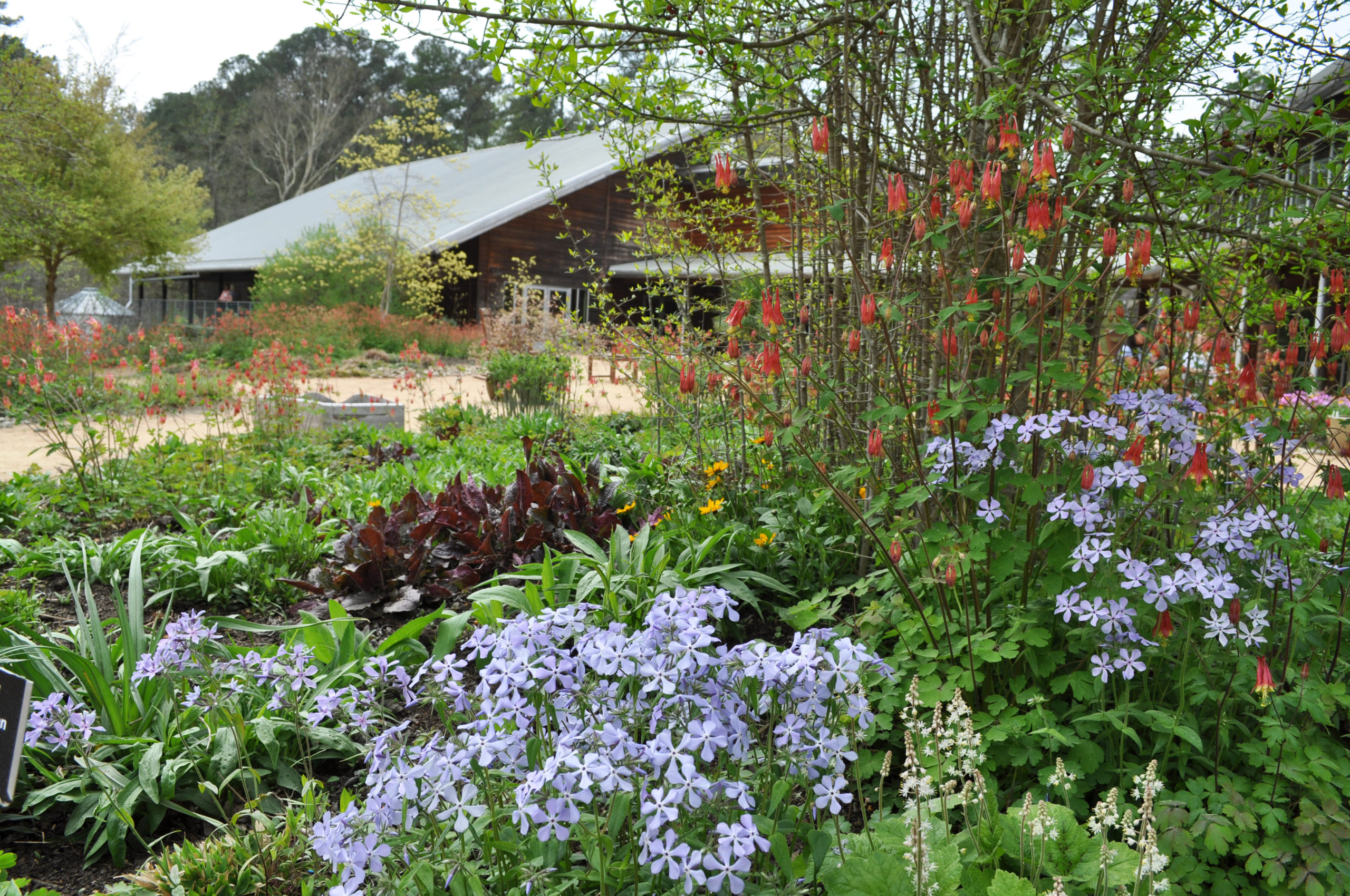 Severná Karolína botanická záhradná záhradnícka terapia