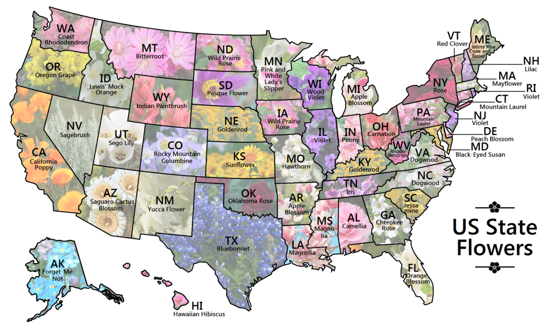 50-state-flowers-map-american-horticultural-society