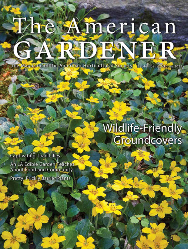 Horticulturae  August 2023 - Browse Articles