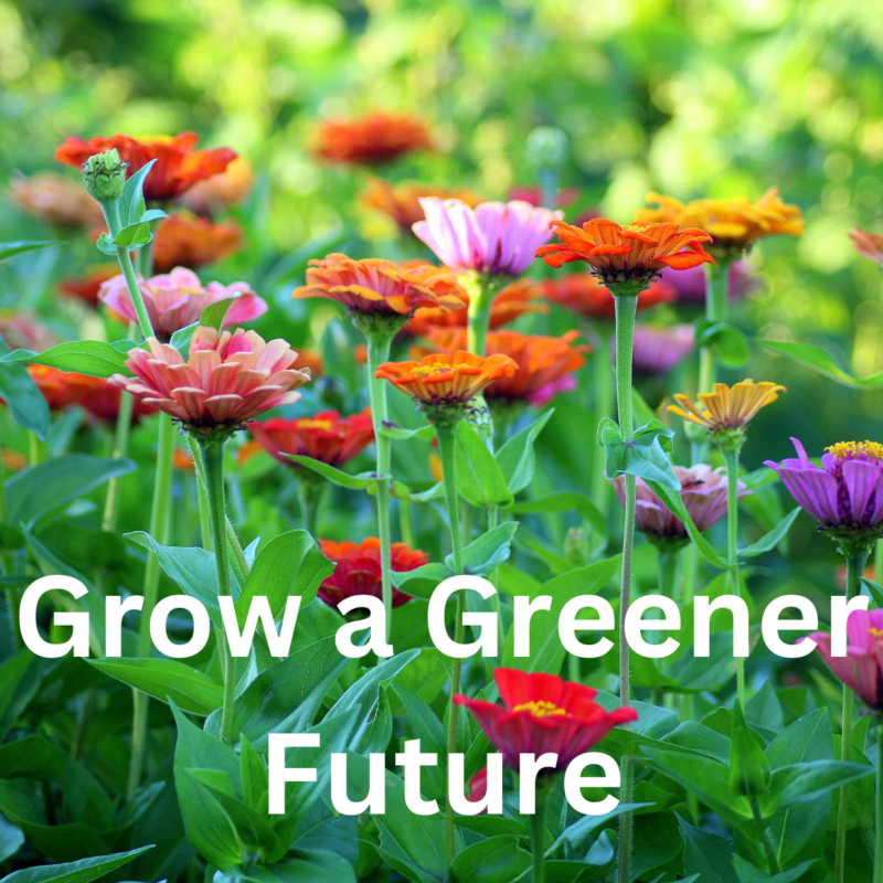 Sustainable Gardening - American Horticultural Society
