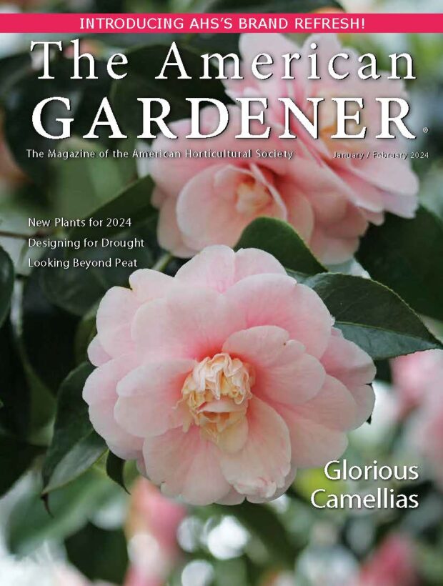 https://ahsgardening.org/wp-content/uploads/2024/01/TAG-JF24-cover-620x820.jpg
