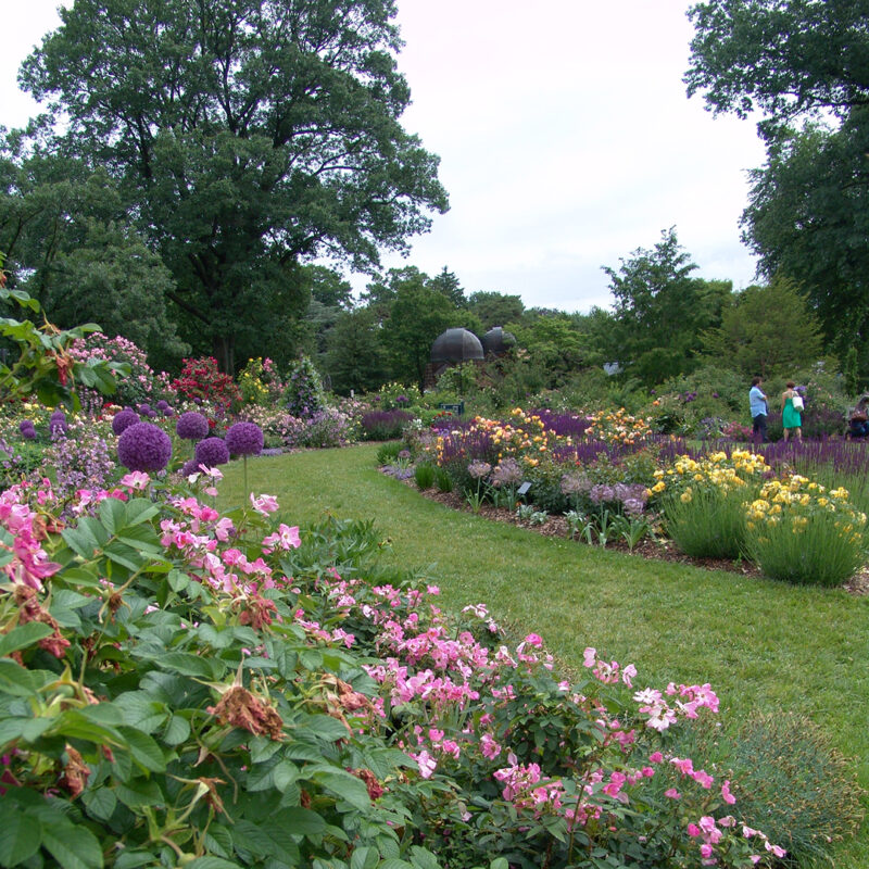 The Scott Arboretum of Swarthmore College American Horticultural Society