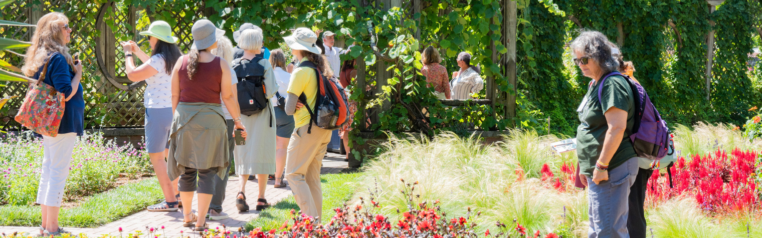 Participants of the AHS National Children and Youth Garden Symposium on a field trip to a local garden, exploring and learning about innovative gardening practices.