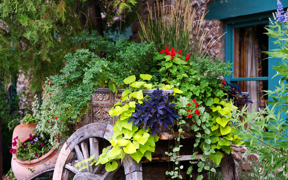 A colorful wagon display in Santa Fe, filled with vibrant plants and flowers