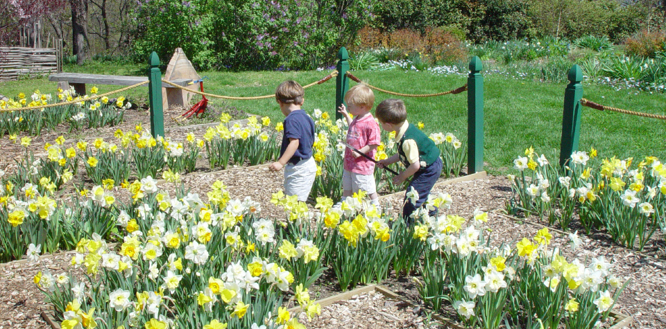 Three young boys play among yellow and white flowers, embodying the spirit of future gardeners as they explore and enjoy nature.