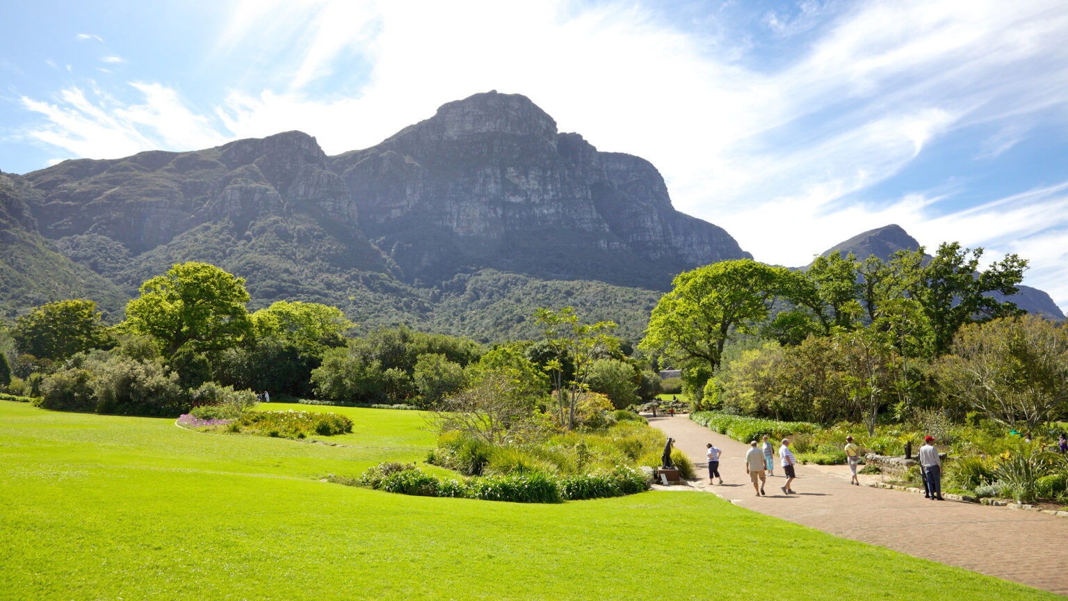 Visitors relaxing in Kirstenbosch National Botanical Garden