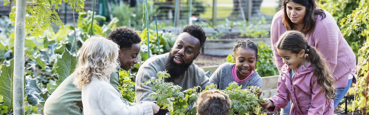 A mature African-American man teaching a group of five multiracial children how to grow vegetable plants in a community garden. He is holding a tray of potted plants, kneeling down so the girls and boys, 4 to 10 years old, can examine them as he talks. An Hispanic mother and her daughter are standing on the right.