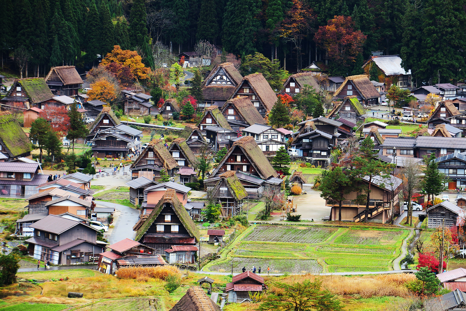 a village of thatched-roof farmhouses make up the charming town of Shirakawa-go Gassho-Zukuri Village, a stop in the AHS Travel tour to Japan.