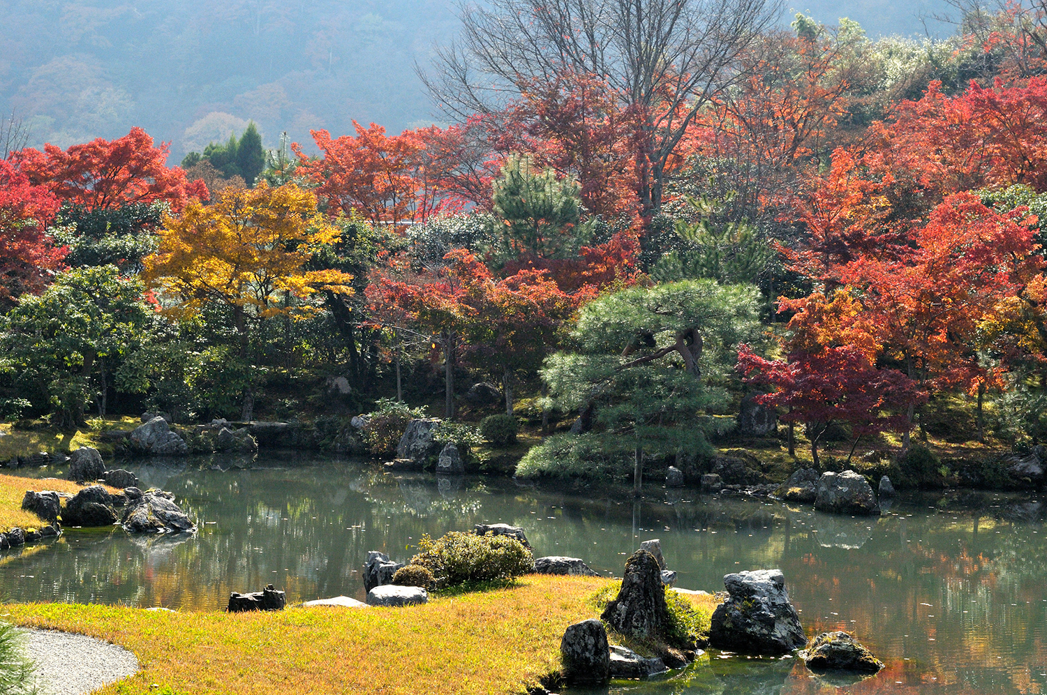 Vibrant red and green-colored trees overlooking a serene lake at the Tenryu-ji, Sogenchi Teien Garden.