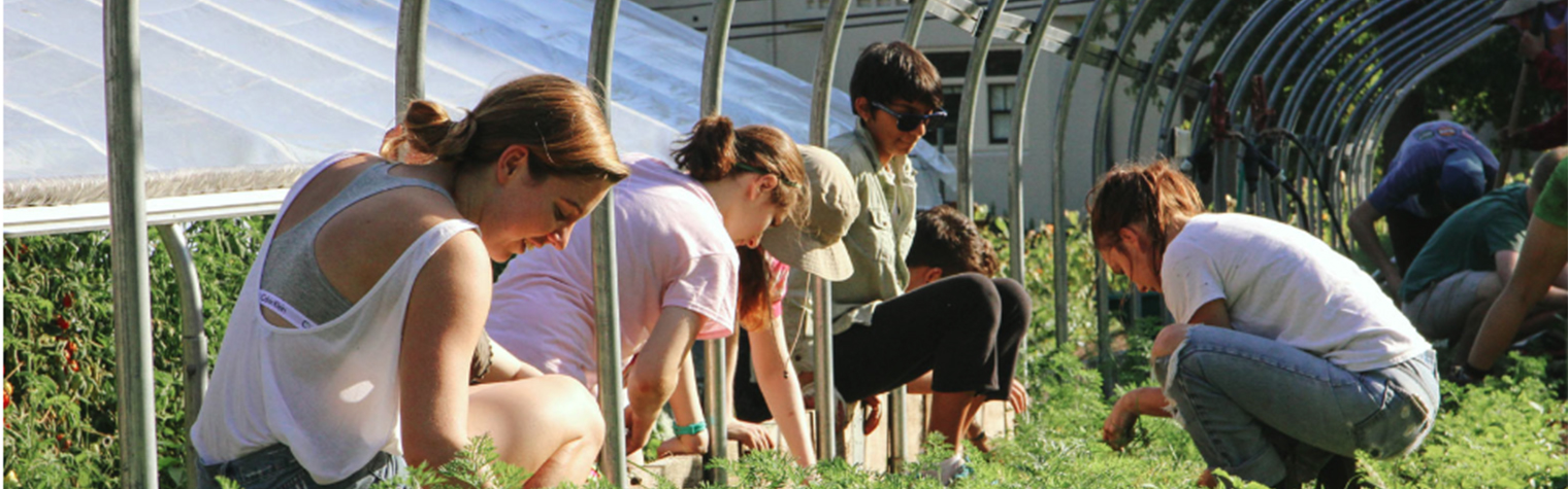 Several teenage students exploring a garden with a teacher. The American Horticultural Society offers scholarships to help defray the cost of attending the National Children & Youth Garden Symposium.