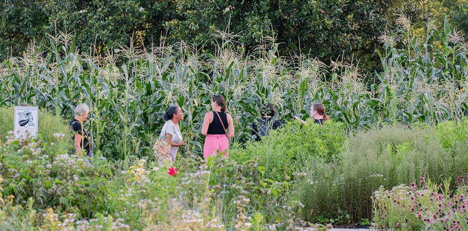 four women exploring a garden of grasses and wildflowers, capturing a moment of friendship and connection amidst the natural beauty of the outdoors