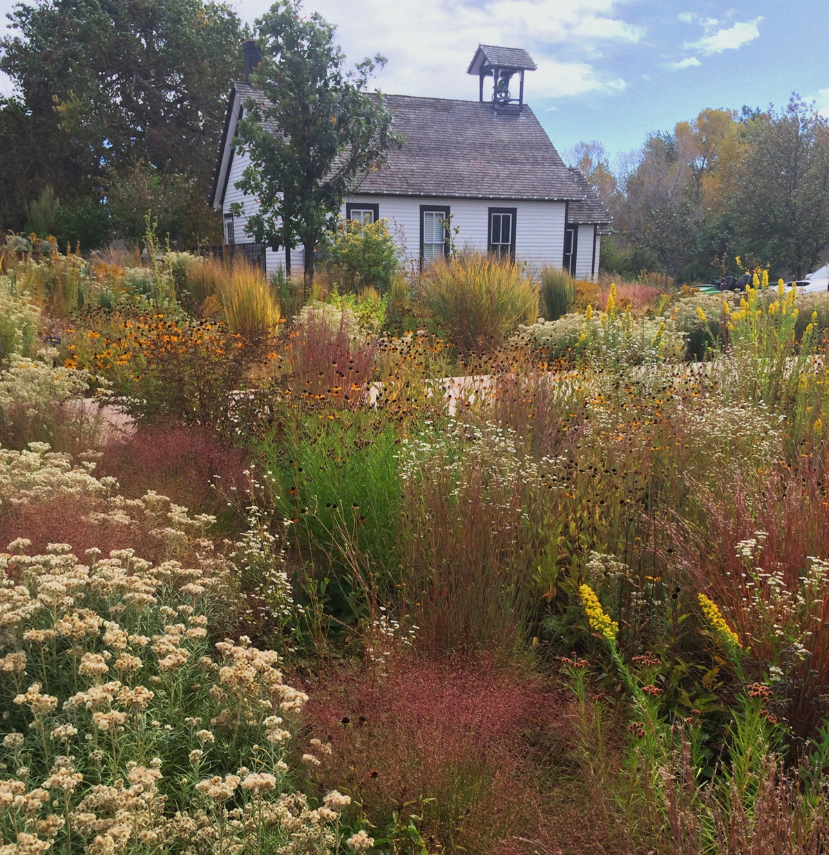 a house with beautiful landscaping of grasses and wildflowers in greens, yellows and burnt reds to exemplify the landscaping of Lauren Springer, 2025 winner of the Landscape Design Award, part of the American Horticultural Society's Great American Gardeners Awards.