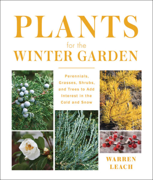 cover of "Plants for the Winter Garden," winner of the 2025 American Horticultural Society's Book Awards