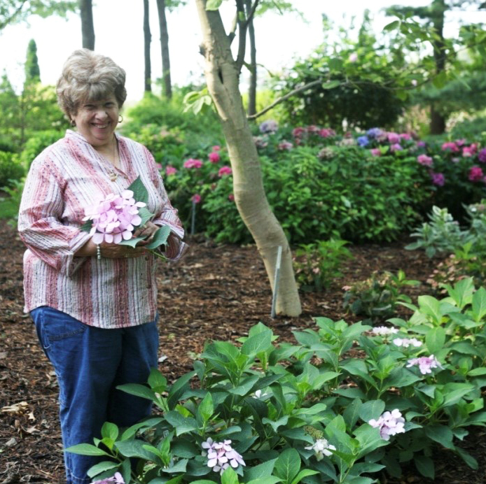 Stephanie Cohen, a celebrated author and speaker in horticulture, picking flowers in an outdoor setting,. She won the 2025 B.Y. Morrison Communicators Award, part of the American Horticultural Society's Great American Gardeners Awards.