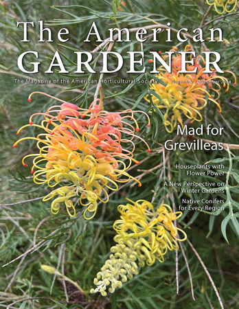 Cover of the November/December 2024 issue of American Gardener magazine published by the American Horticultural Society.