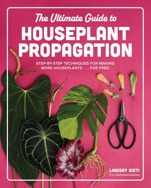 cover of "The Ultimate Guide to Houseplant Propagation," winner of the American Horticultural Society's 2025 Book Awards