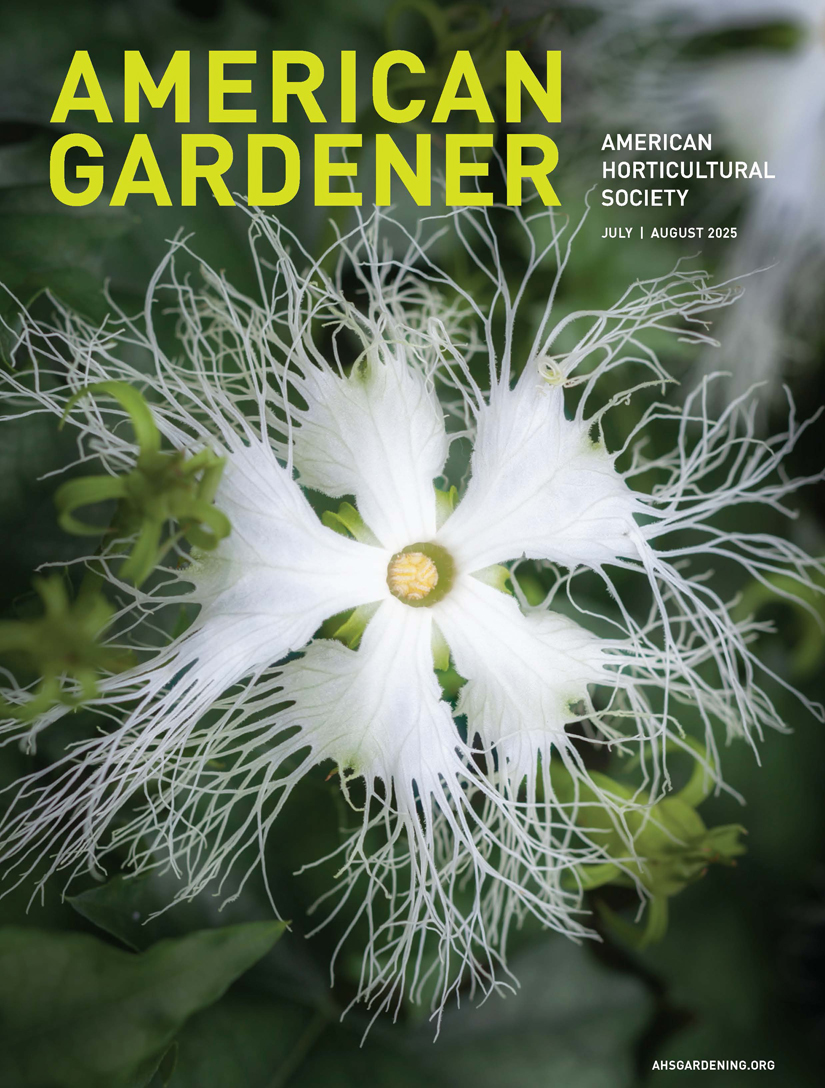 AG July_Aug 2025 cover