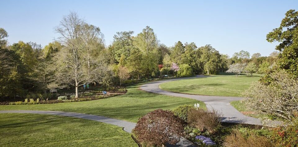 Overhead shot of a garden in spring with paths, borders, and trees.