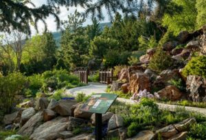 An alpine garden with a path, rocks and an educational sign.