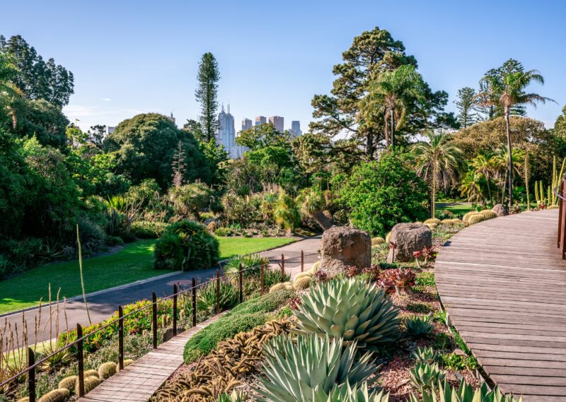 Royal Botanic Gardens, Melbourne stock