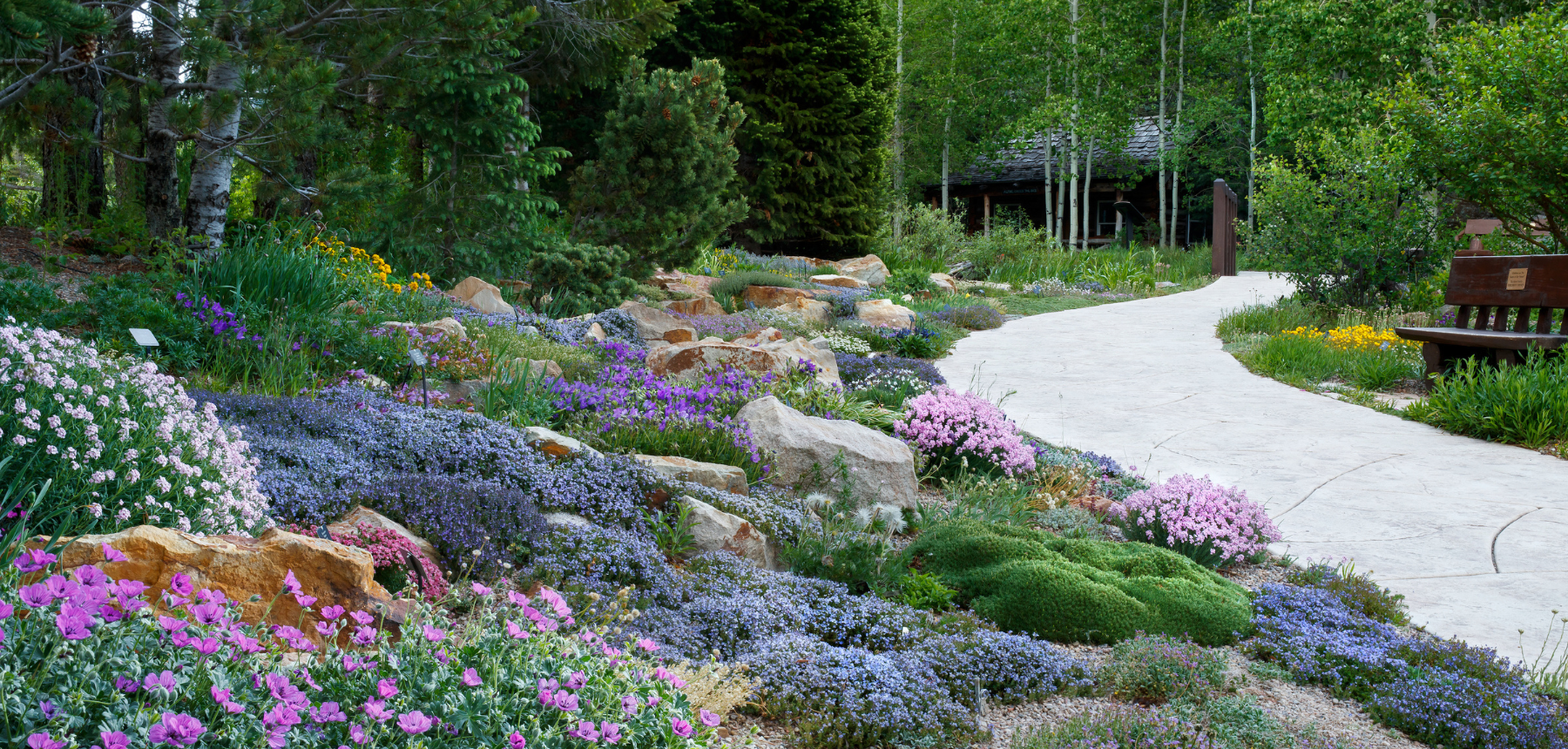 An alpine garden with a winding path and pink and purple flowers