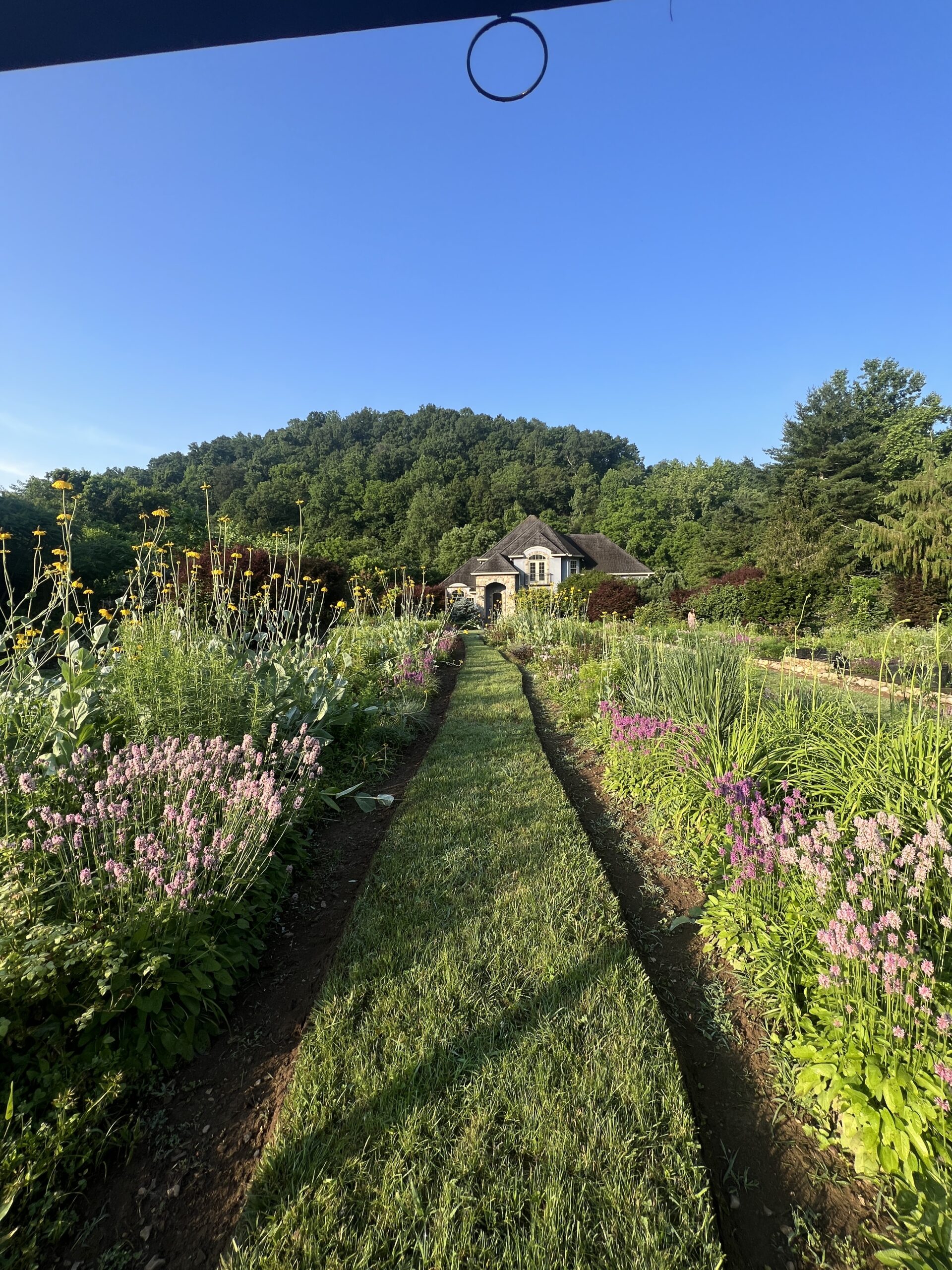 AHS LIVE: Private Garden Tour: Nashville's Natchez Glen House