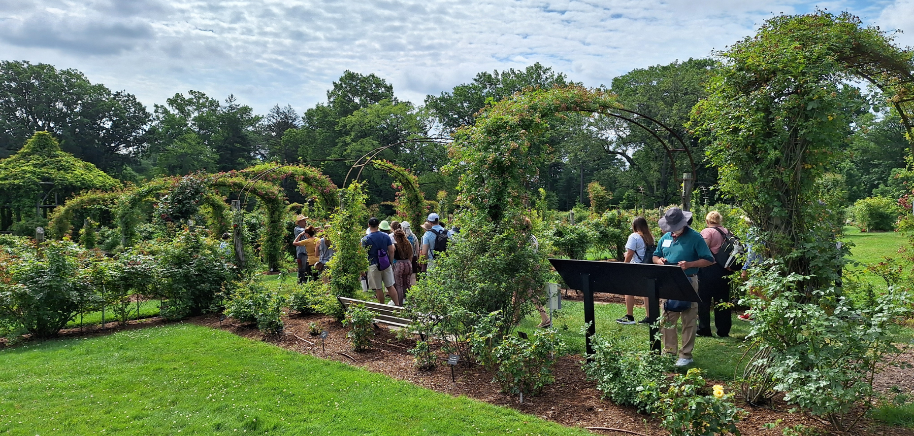 A small group of people walk on a path through a garden.