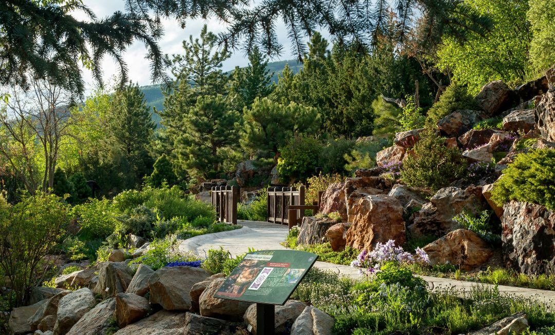 Betty Ford Alpine Garden 2025 GAGA winner