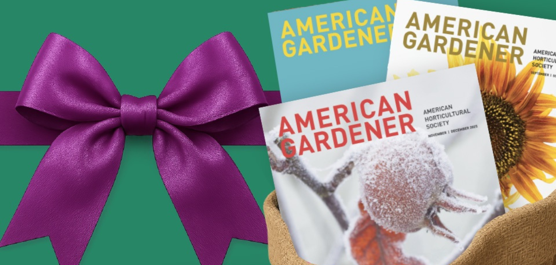 Graphic with green background purple bow and three magazines.