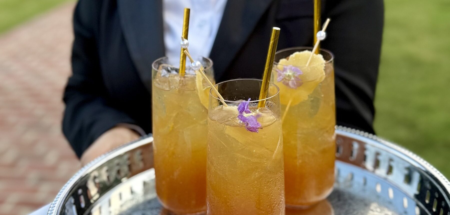 54842420577_1d1fdc3e6a_o cropped_Ally