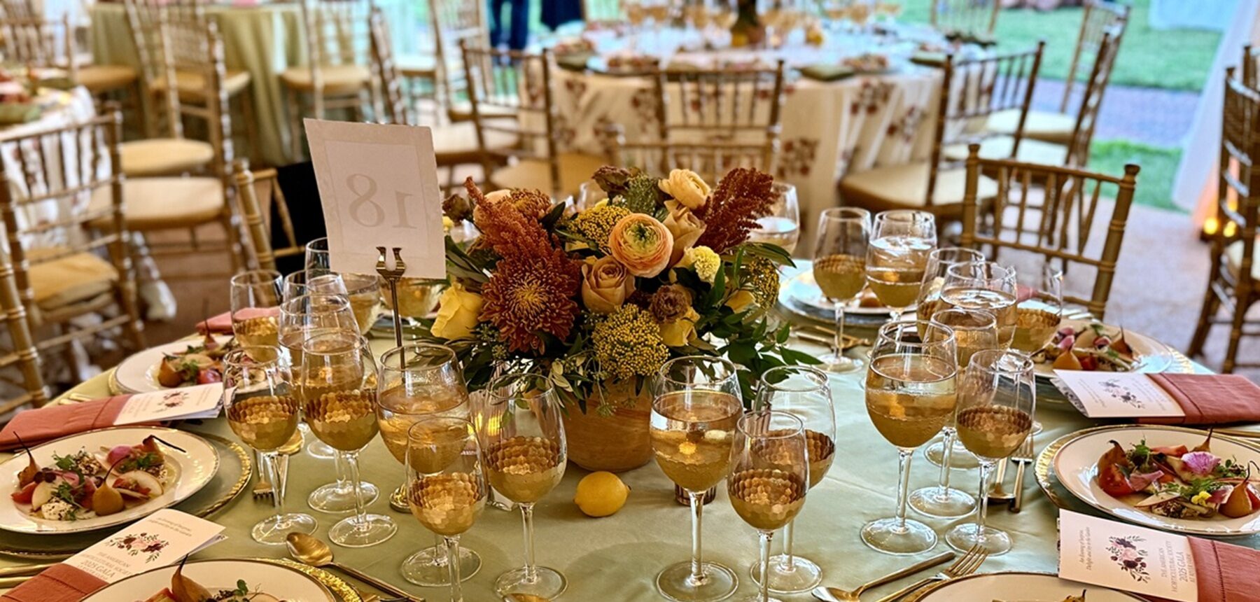 54843520109_07e1d6ae7e_o_Ally