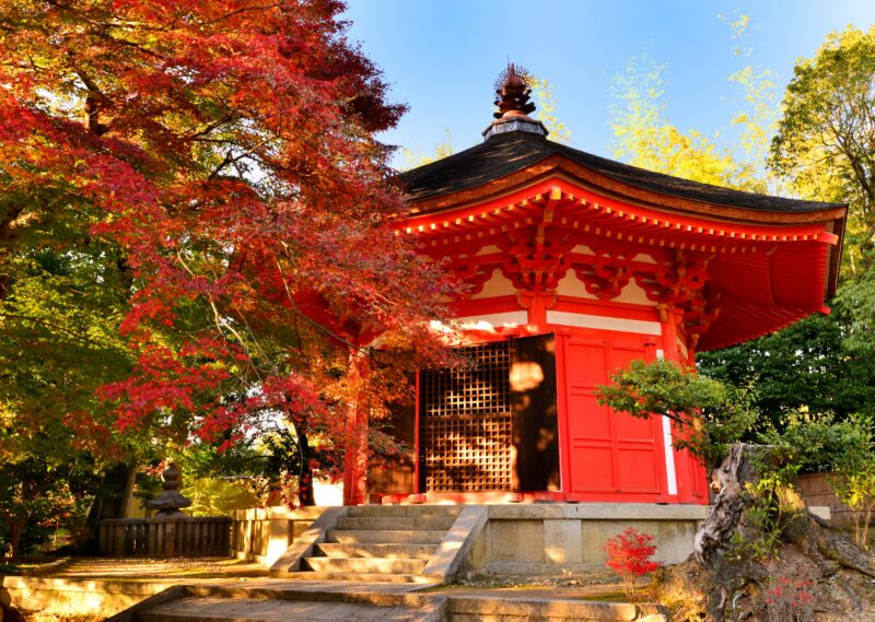 Autumn Foliage of Tofuku-ji Temple, Kyoto, Japan