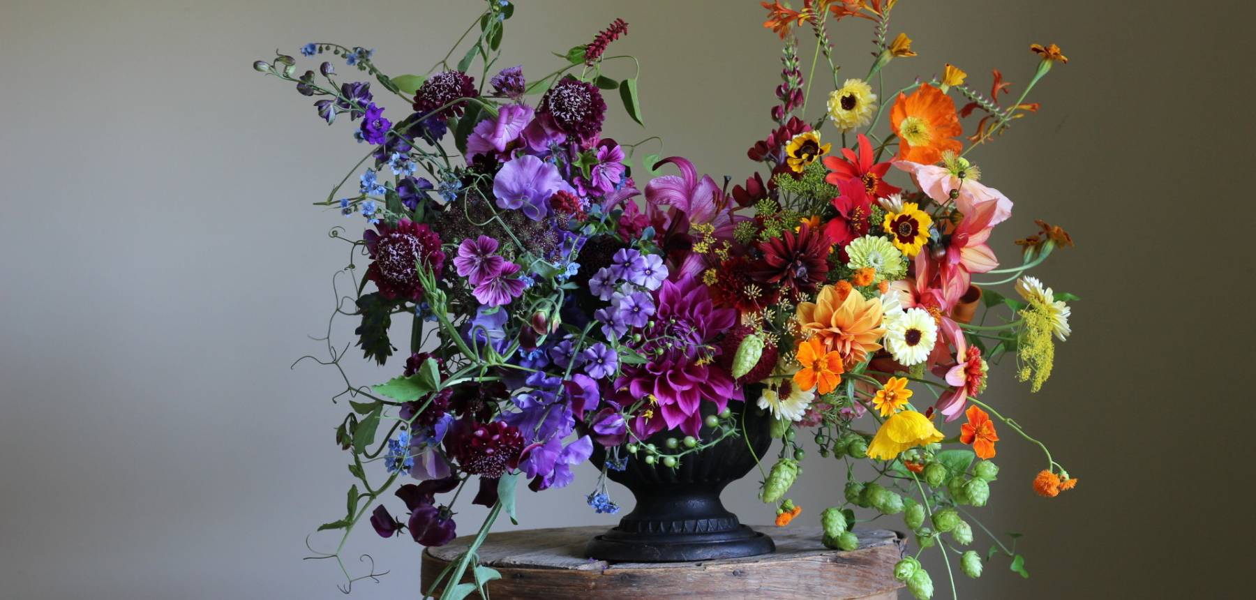 Purple, yellow, red, and orange flowers in a vase.