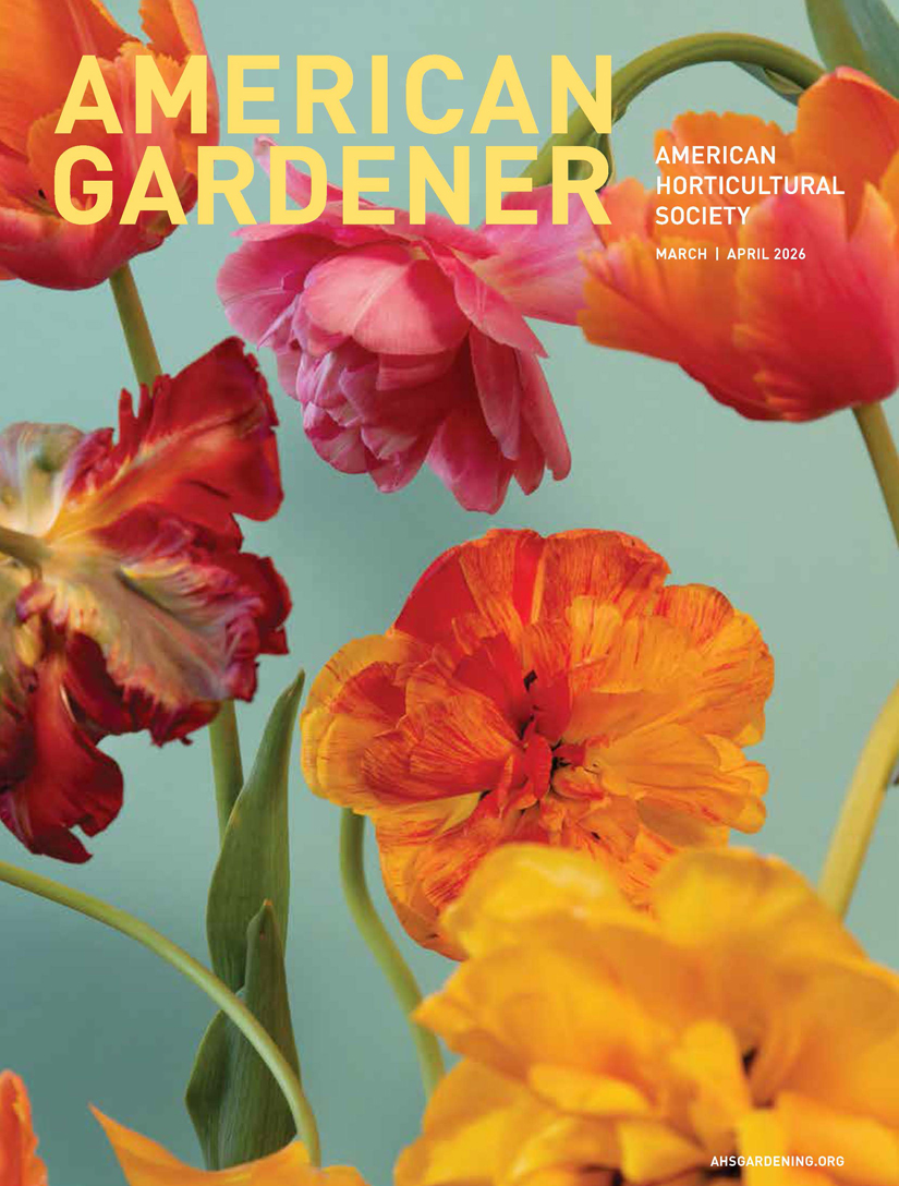 AG Mar_Aor 2026 cover