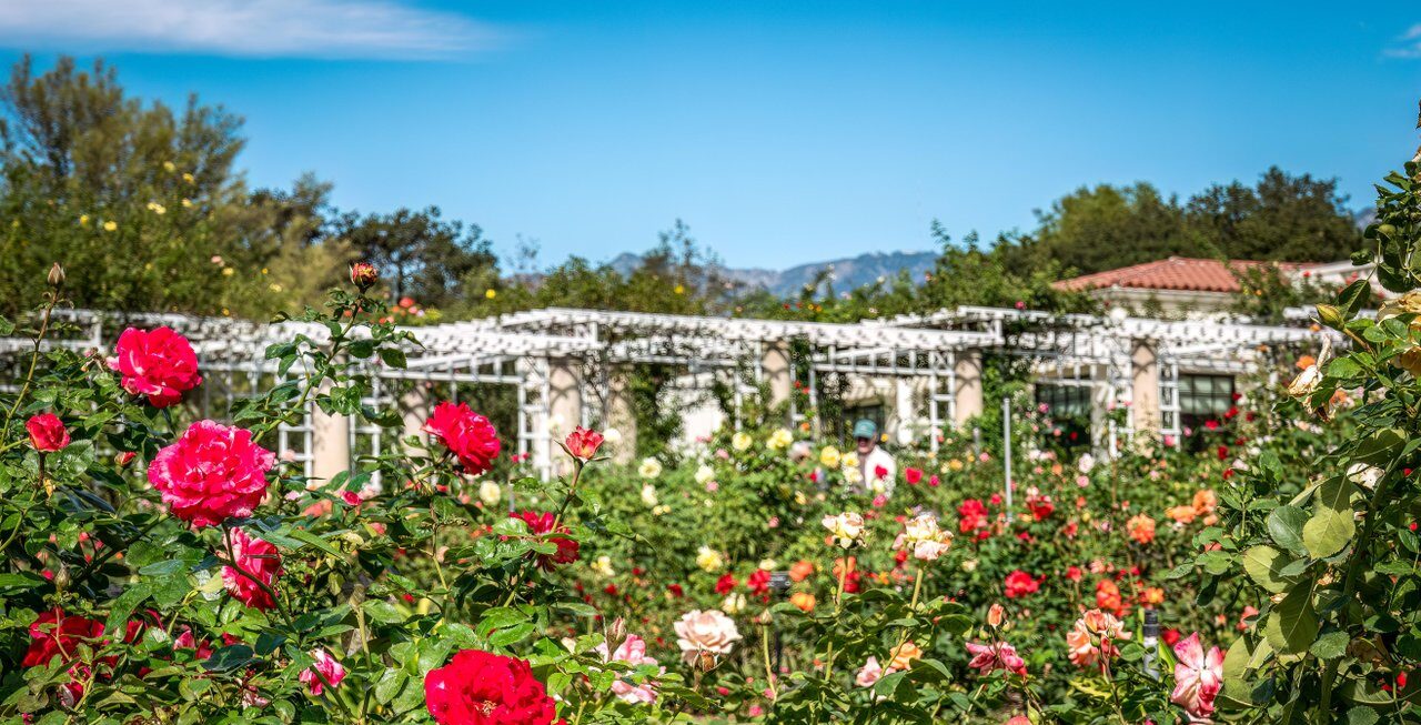 Huntington Gardens Credit Edie Tyebkhan (29)-medium