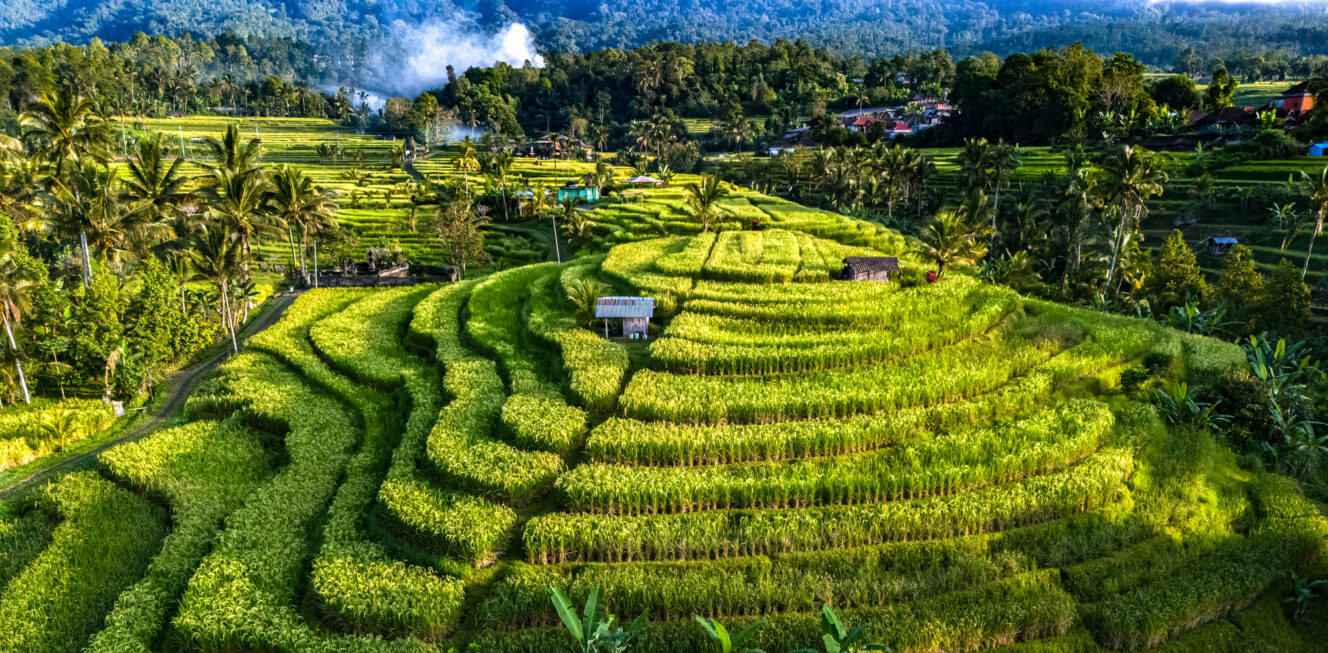 Jatiluwih Rice Terraces ID 322301496 © Monticelllo I Dreamstime.com
