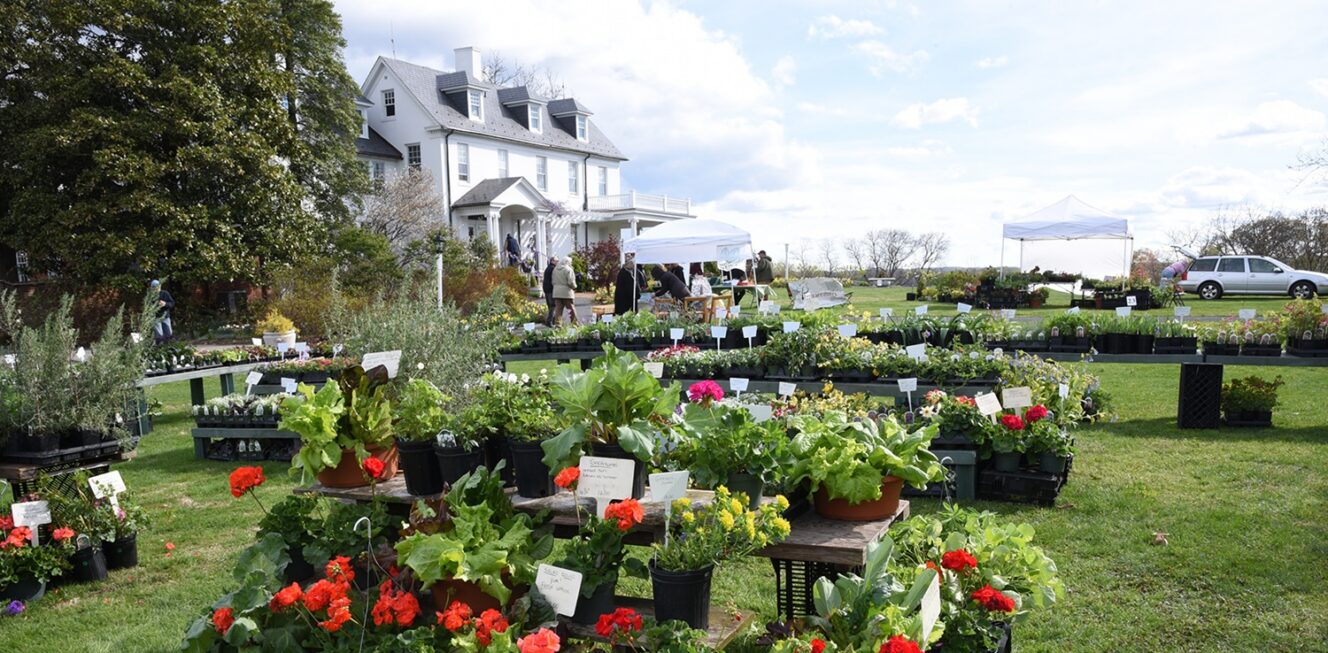 Spring Garden Market at River Farm 1500×1000