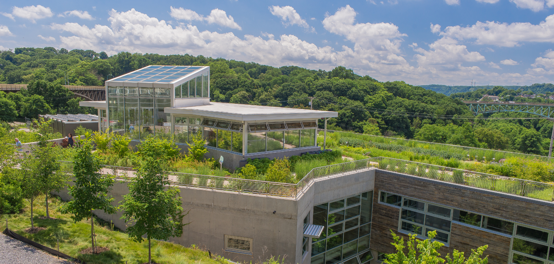 Building with a living green roof surrounded by trees.