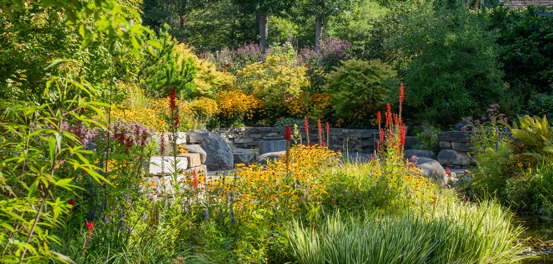 A colorful garden with yellow and red flowers