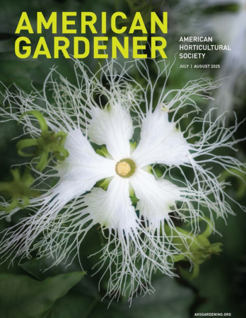 Yellow text on an image of a white flower on a dark background