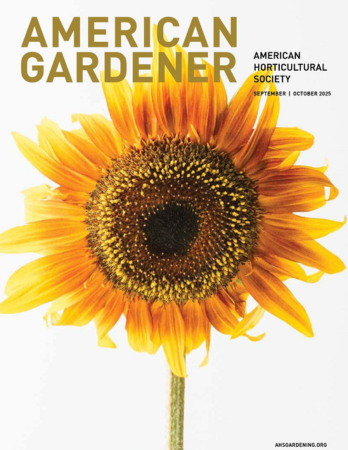 Brown text on an image of a yellow sunflower on a white background