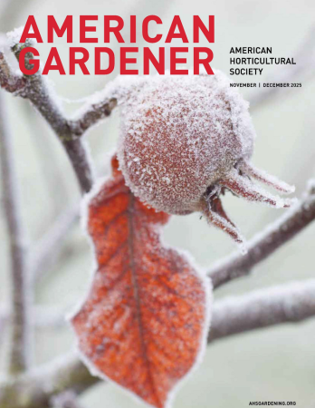 Red text on an image of a frost-covered fruit on a blurred gray background with a tree branch