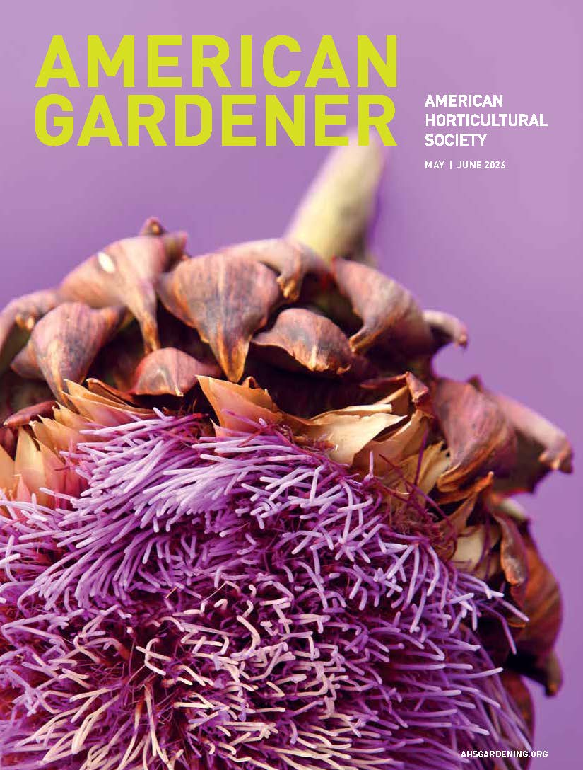 AmericanGardener_MayJune2026 cover