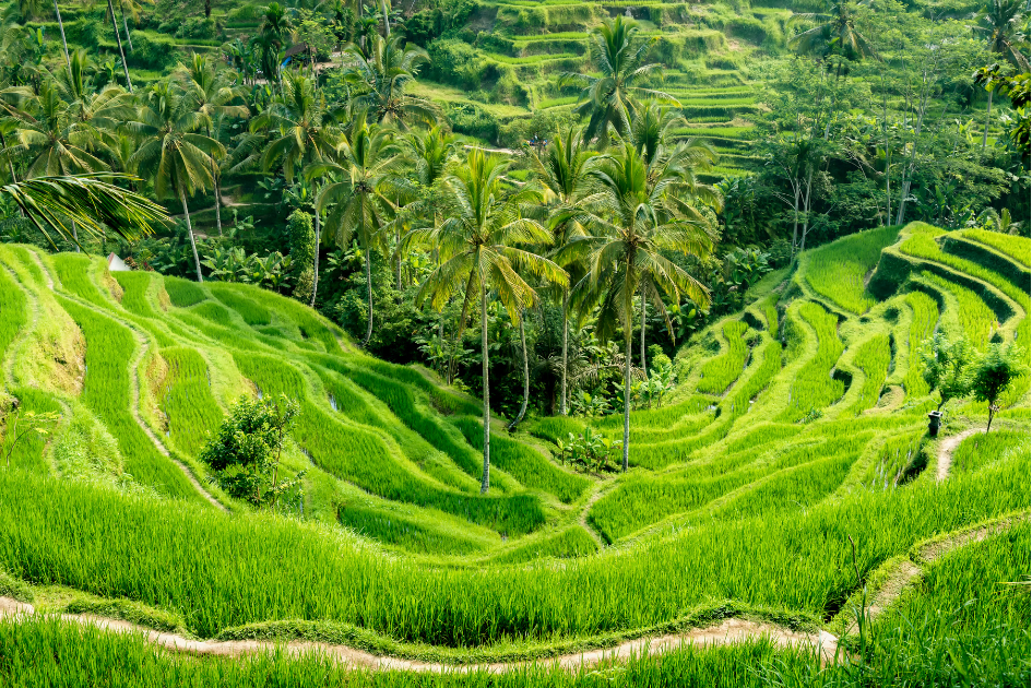 Untitled (1080 x 1350 px) (21)