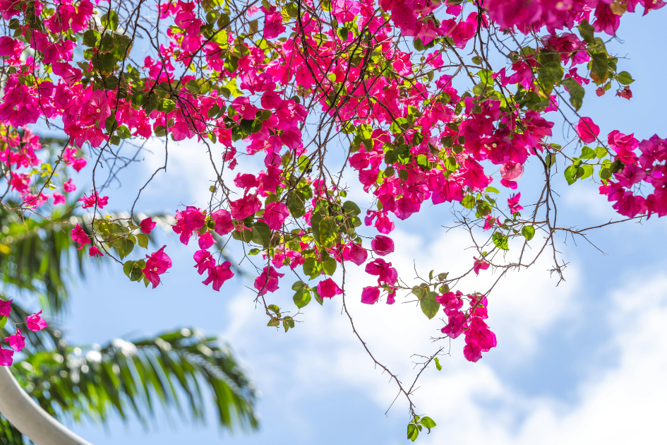 Untitled (1080 x 1350 px) (23)