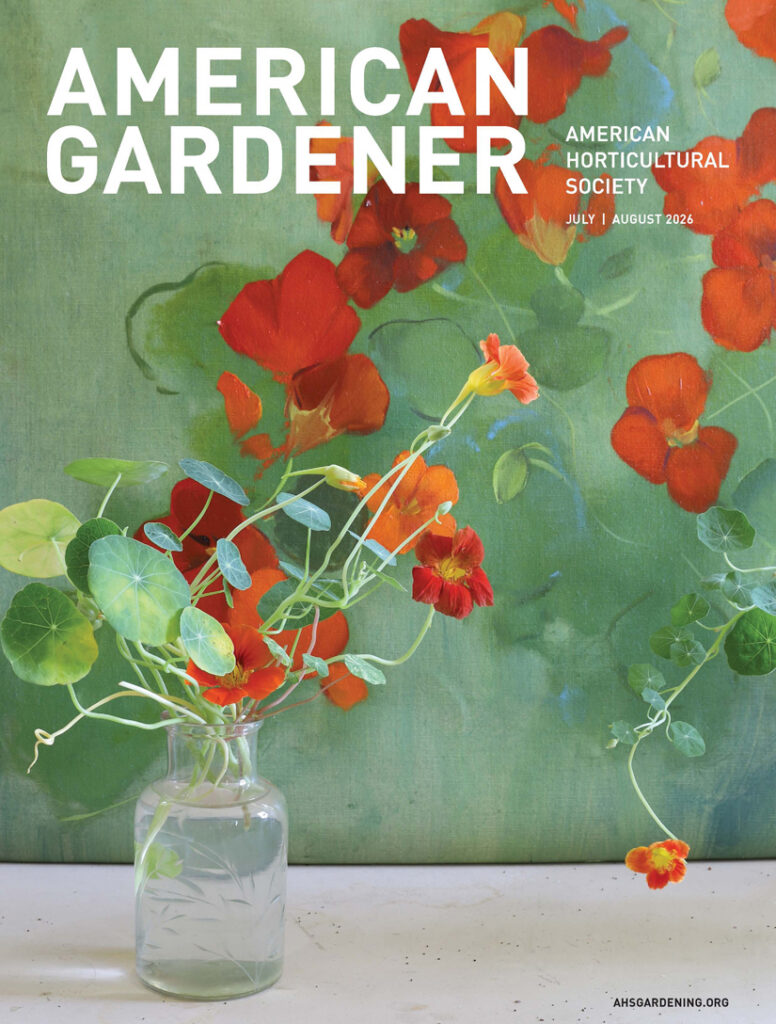White text saying "American Gardener" over a sage green and reddish orange watercolor of nasturtiums, with the vase of nasturtiums in lower left corner.